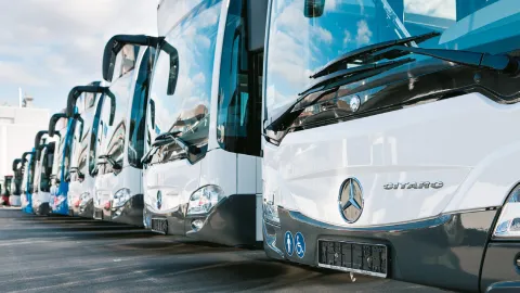 Mehrere Mercedes Omnibusse nebeneinander 