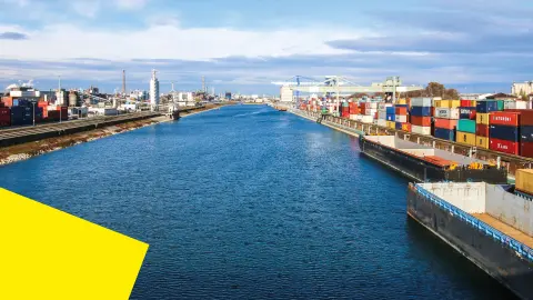 Auslandsgeschäfte in der GreenTech Branche