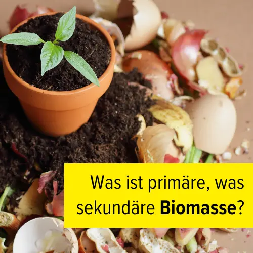 Bild mit einer Topfpflanze, die umgeben von Bioabfall ist und dem Text Was ist primäre, was sekundäre Biomasse?