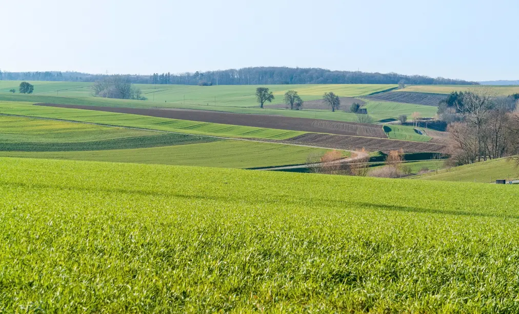 Ausblick auf Felder und Wiesen
