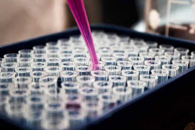 Mit einer pinken Pipette wird Flüssigkeit in Röhrchen nachgefüllt