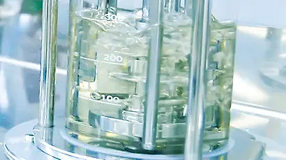 Bioökonomie bei Umwelttechnik BW
