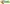Logo Green Check Your Idea