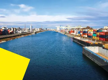 Auslandsgeschäfte in der GreenTech Branche