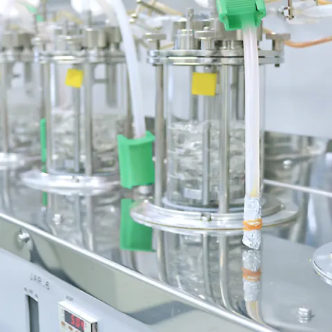Bioökonomie Header