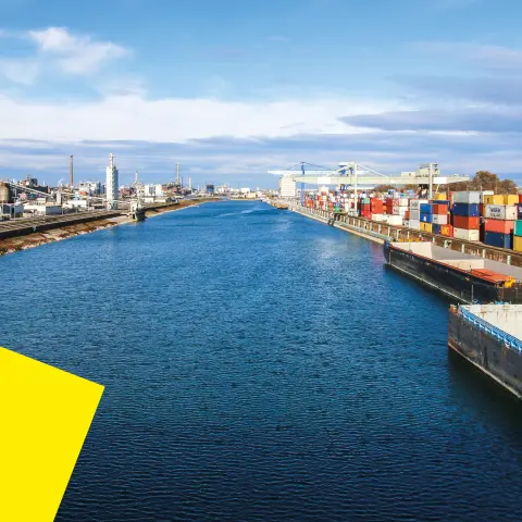 Auslandsgeschäfte in der GreenTech Branche