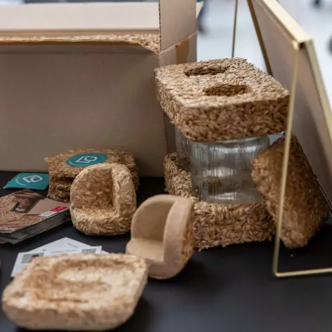 Green Start-up: Proservation Produkte